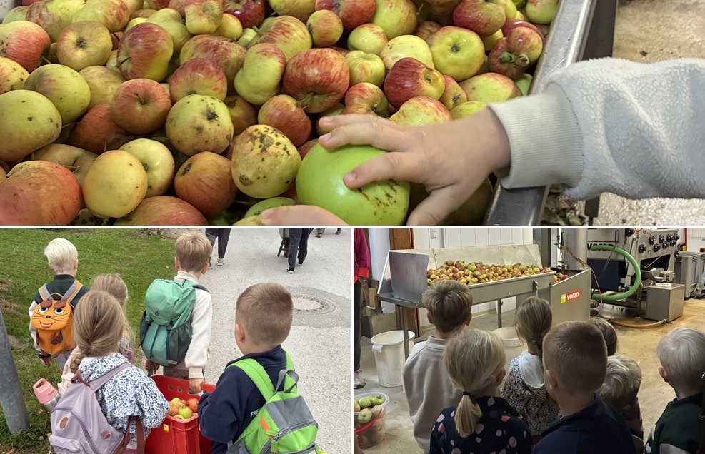 Frischer Apfelsaft 